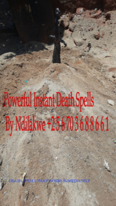 INSTANT DEATH SPELL CASTER