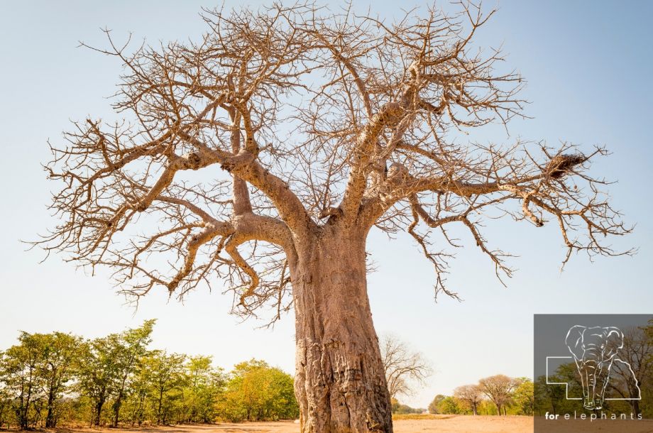 Beauty Spell Attraction Magic Spell